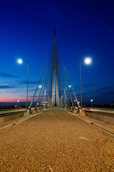 Bělehradě most na ada — Stock fotografie