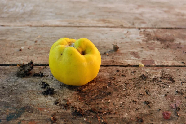 Яблочная айва — стоковое фото