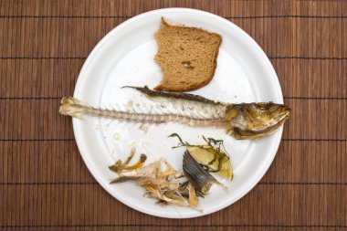 Balık yemek artıkları