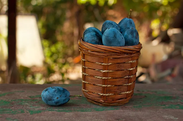 Plum on table and a punnet — Stock Photo, Image