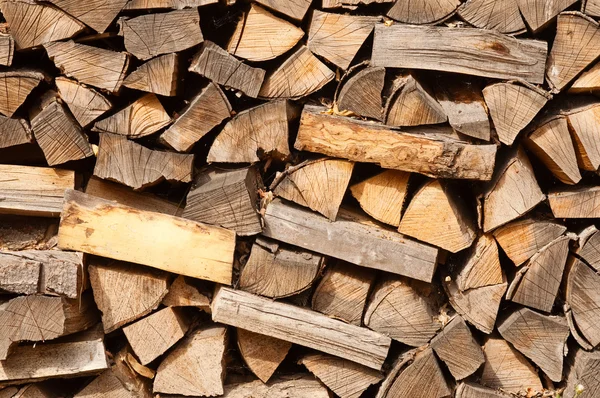 Biomass firewood — Stock Photo, Image