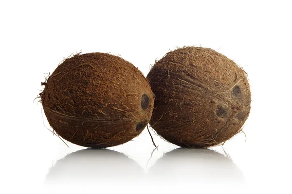 Coconuts on white background — Stock Photo, Image