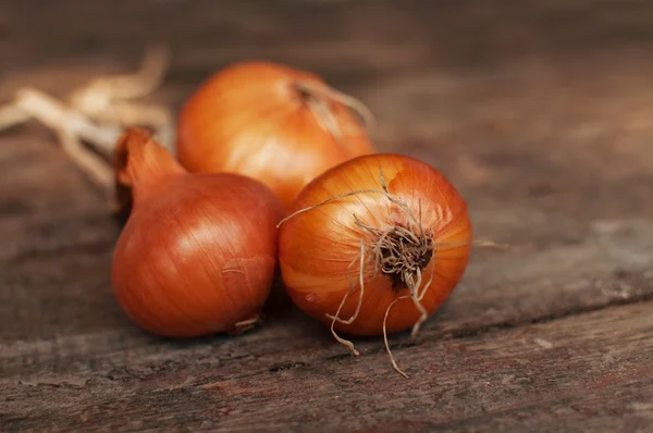 Bunch of onions — Stock Photo, Image