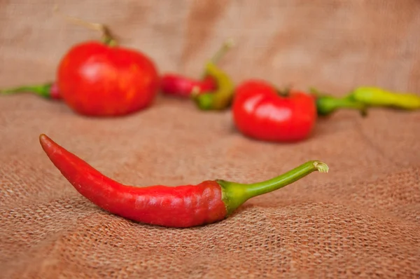 Chili peper — Stockfoto