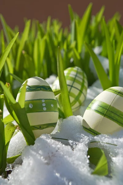 Easter eggs in snow — Stock Photo, Image