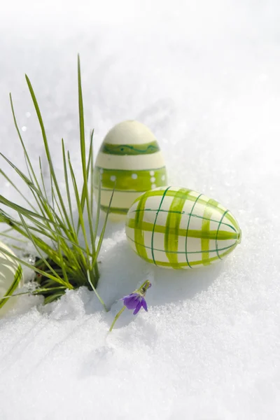 Oeufs de Pâques dans la neige — Photo