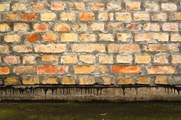 Brick wall — Stock Photo, Image