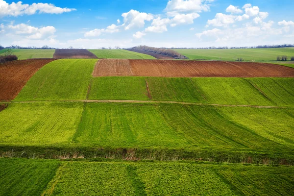 Arable land — Stock Photo, Image