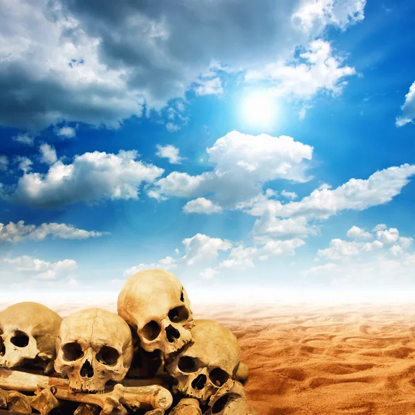 Human skulls in desert — Stock Photo, Image