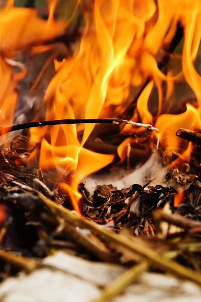 Branches burning — Stock Photo, Image