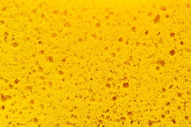 Sarı sünger doku