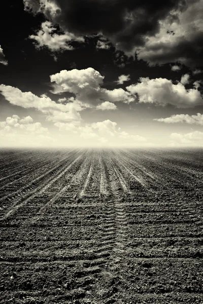 Deserted arable land — Stock Photo, Image