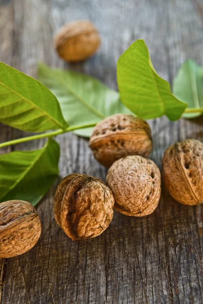 Walnuts on table — Stock Photo, Image