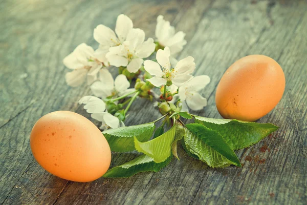 Spring flowers and easter eggs — Stock Photo, Image