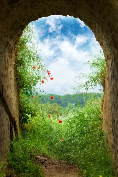 End of the tunnel — Stock Photo, Image