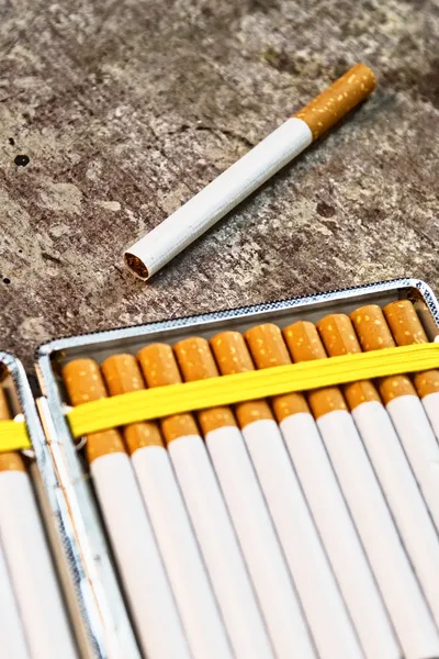 Cigaretter i cigarettetui — Stockfoto