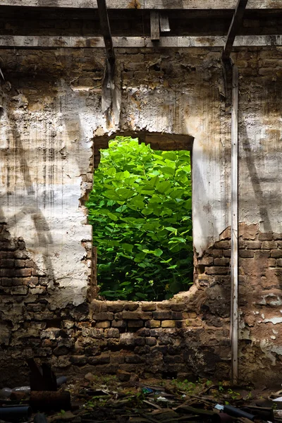 Abandoned window — Stock Photo, Image