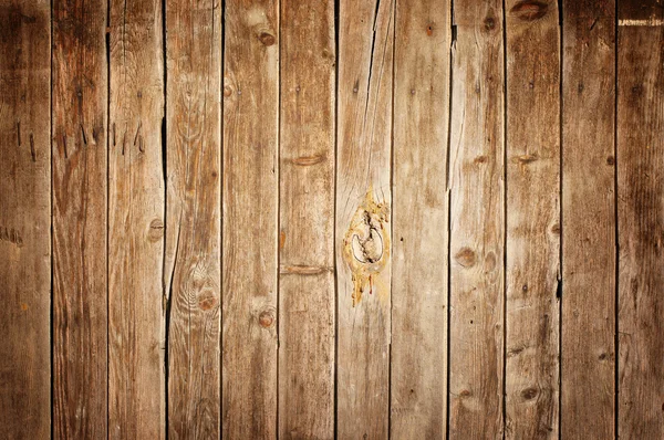 Textura de madeira — Fotografia de Stock