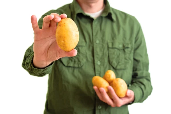 Фермер держит картофель — стоковое фото