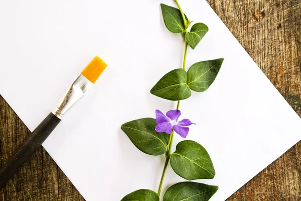 Paint brushes, flower and white paper — Stock Photo, Image