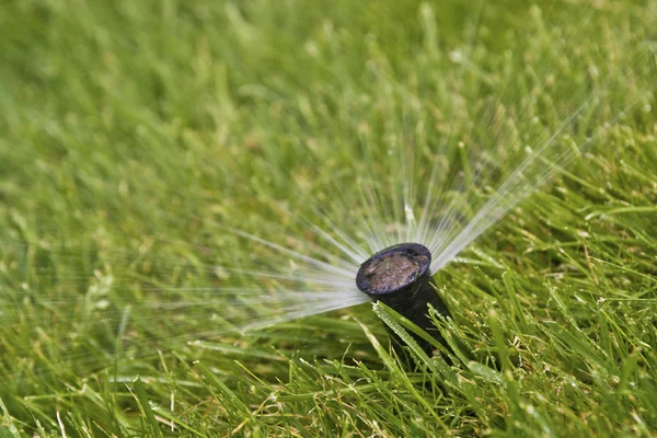 Water sprinkler — Stock Photo, Image