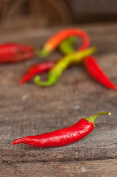 Chili peper — Stockfoto