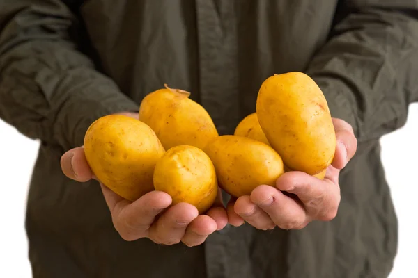 Rolnik gospodarstwie ziemniaków — Zdjęcie stockowe