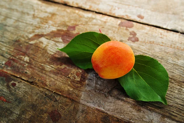 Apricot — Stock Photo, Image