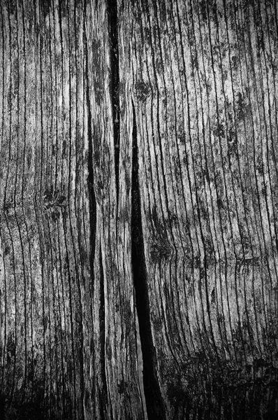 Wood texture — Stock Photo, Image