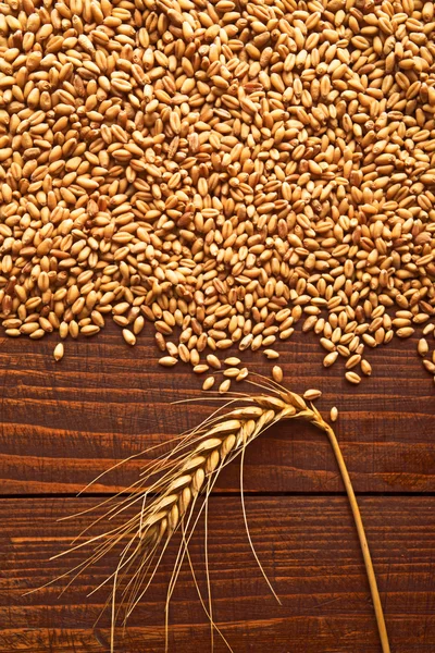 Пшеничные зерна и уши — стоковое фото