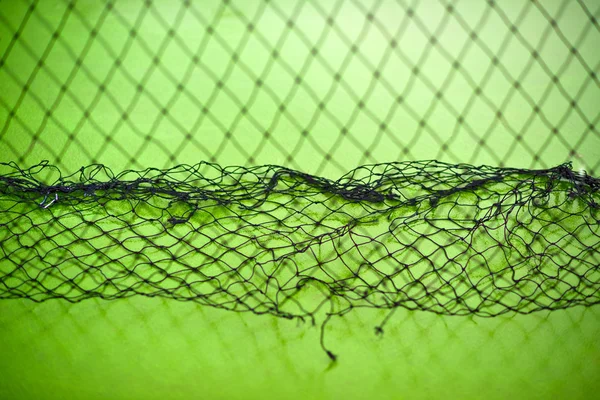 Contexte net — Photo