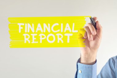 finansal rapor