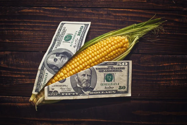 Corn is money — Stock Photo, Image