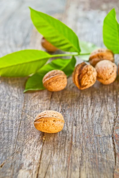 Walnuts on table — Stock Photo, Image
