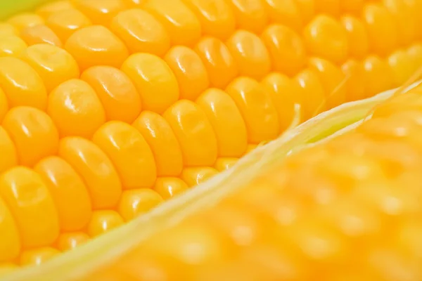 Zoete gele maïs cobs macro — Stockfoto