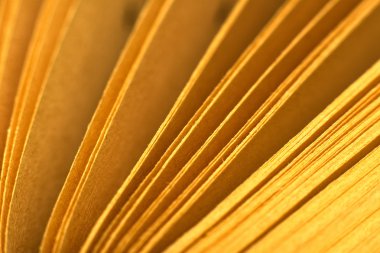 kitap sayfaları makro