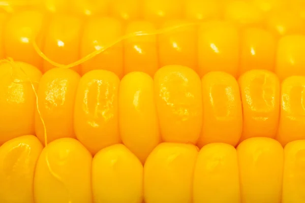 Sweet yellow corn cobs macro — Stock Photo, Image