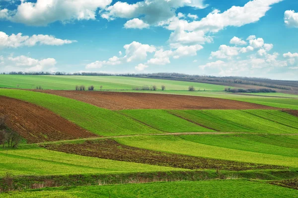 Tarıma elverişli arazi — Stok fotoğraf