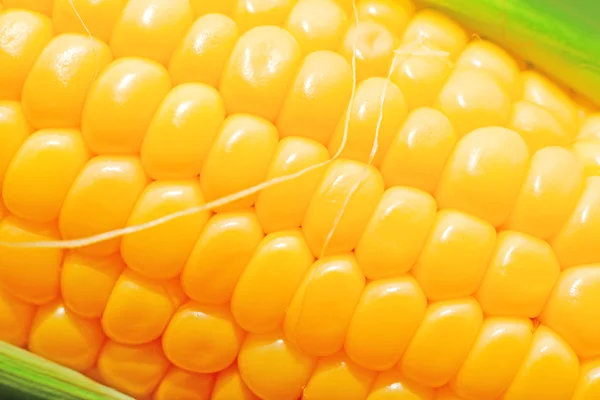 Sweet yellow corn cobs macro — Stock Photo, Image