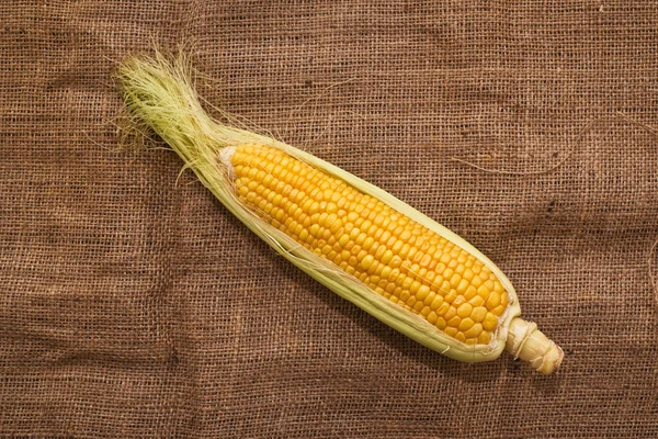 Ear of corn on sack texture — Stock Photo, Image