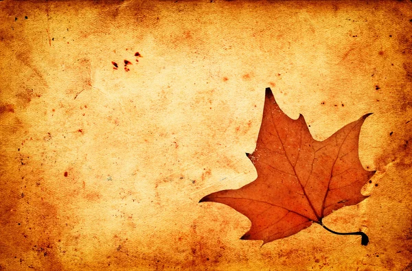 Jesień liść klonu na stary papier — Zdjęcie stockowe