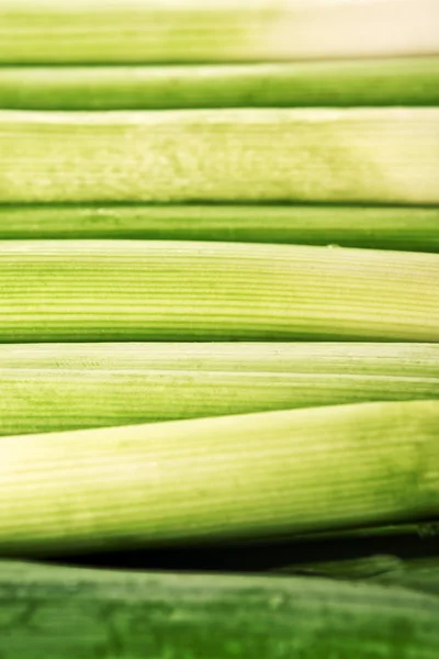 Färsk purjolök som naturliga bakgrund — Stockfoto