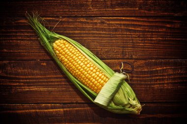 açılış Mısır kulak