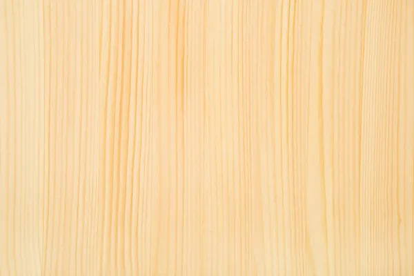 Beuken houtstructuur — Stockfoto