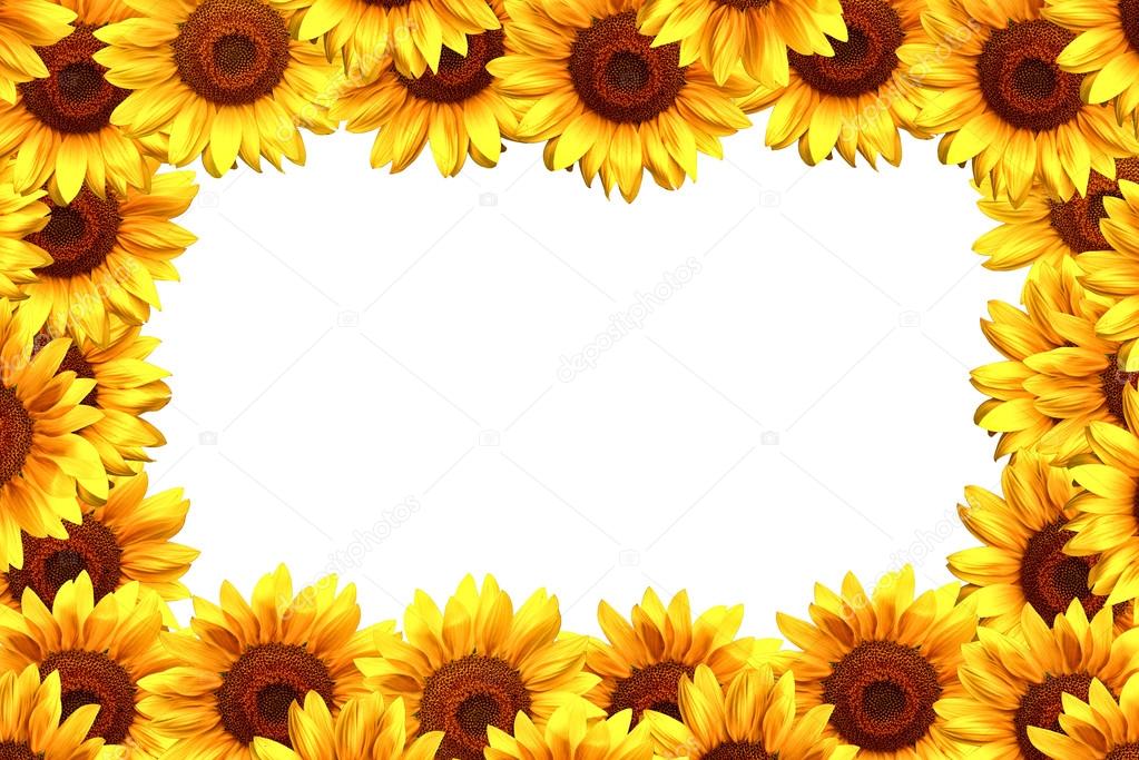 Quadro de girassol — Fotografias de Stock © stevanovicigor #37487909