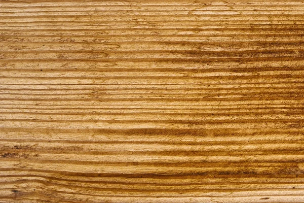 Ek trä textur — Stockfoto