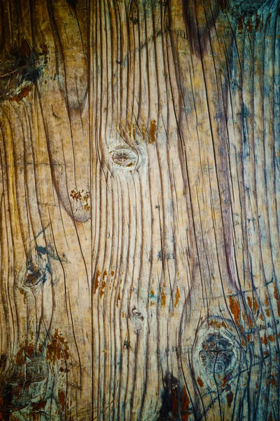 橡木木材纹理 — 图库照片