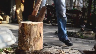 odun kesmenin adam balta ile günlüğe kaydeder.