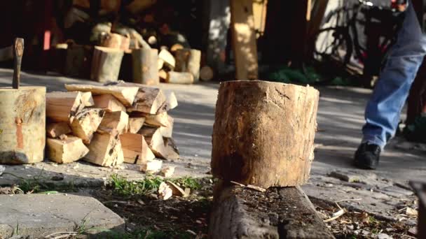 Man chopping wood logs with ax — Stock Video