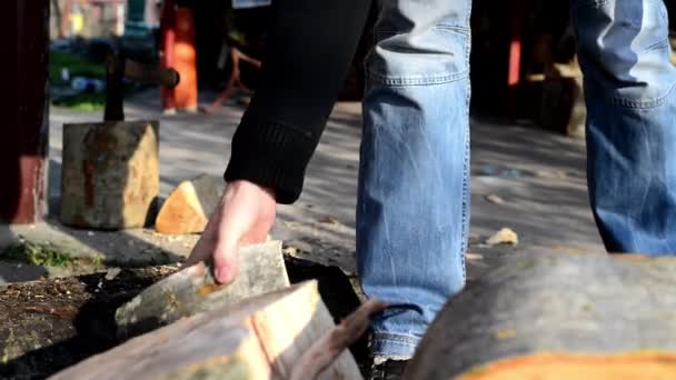 Hombre cortar troncos de madera con hacha — Vídeo de stock